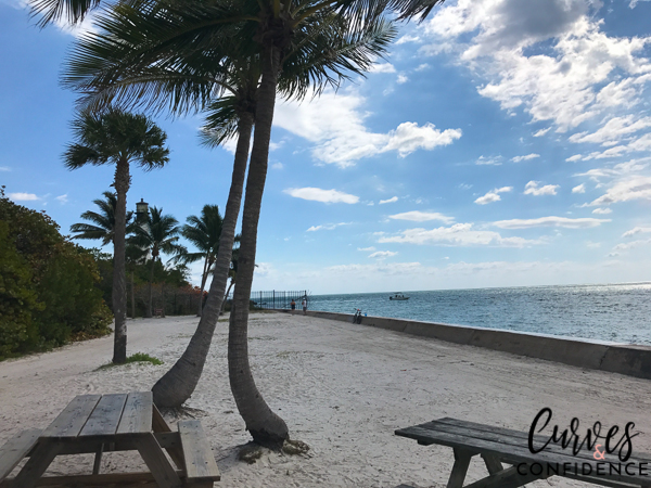 Curves and Confidence: Born to Move Miami