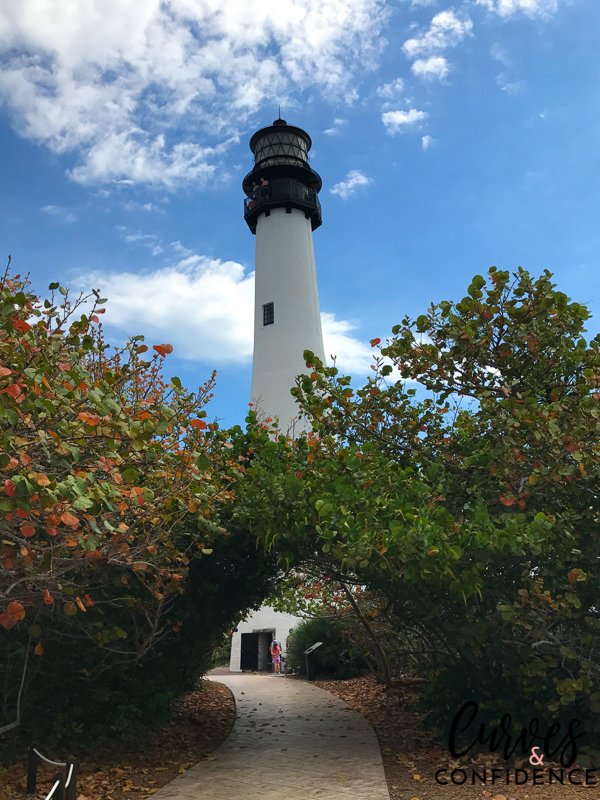 Curves and Confidence: Born to Move Miami
