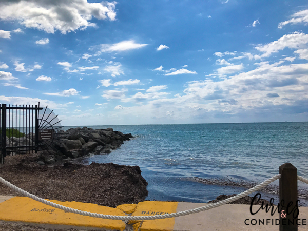 Curves and Confidence: Born to Move Miami